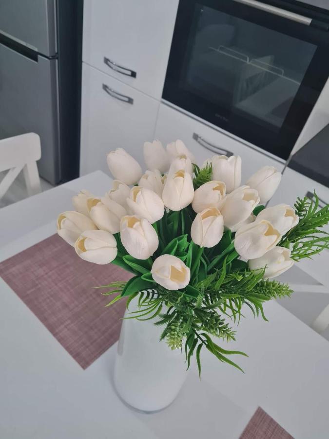 Sweet Home Sfintu Ilie Εξωτερικό φωτογραφία