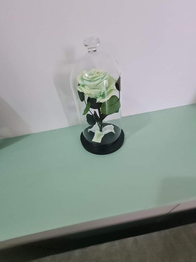 Sweet Home Sfintu Ilie Εξωτερικό φωτογραφία